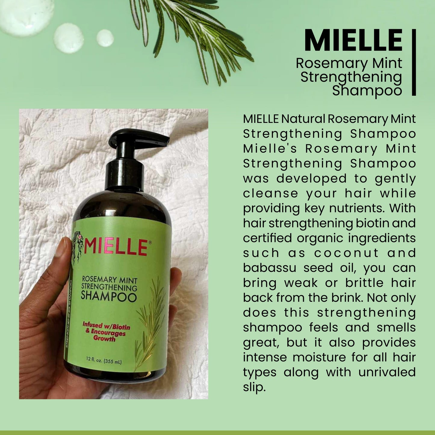 MIELLE Rosemary Mint Strengthening Shampoo with Biotin | 355 ML